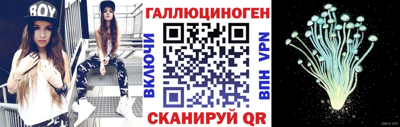 MEGA ONION  Мценск  Псилоцибиновые грибы прущие грибы 